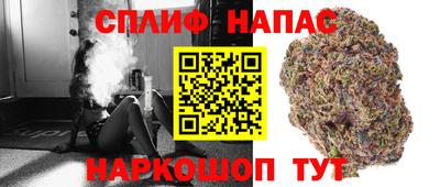 мдпв Донецк