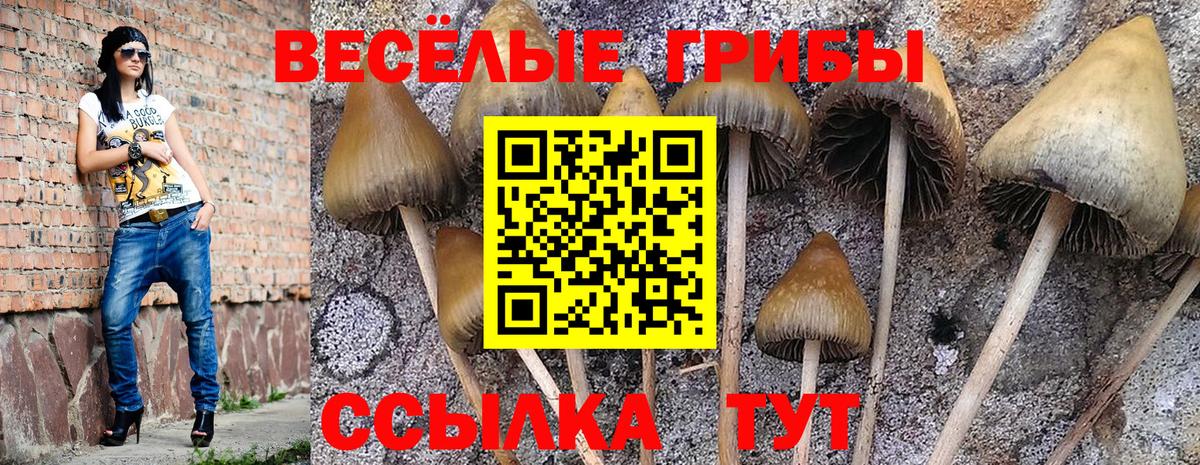 Псилоцибиновые грибы Cubensis  купить  сайты  Еманжелинск  Вход с VPN  Псилоцибиновые грибы GOLDEN TEACHER 
